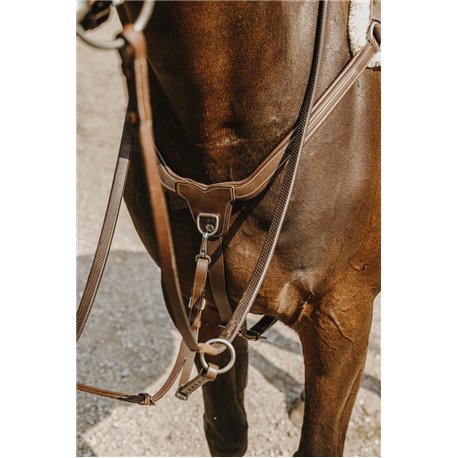 NORTON - 5 points - Vorderzeug