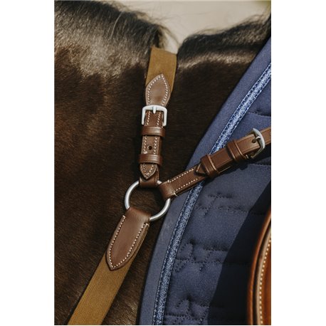 NORTON - 5 points - Vorderzeug