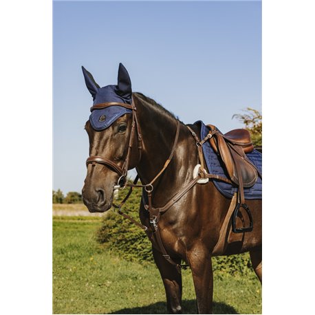 NORTON - 5 points - Vorderzeug