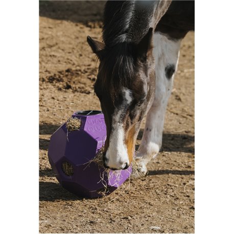 Balle anti-glouton HIPPOTONIC pour foin