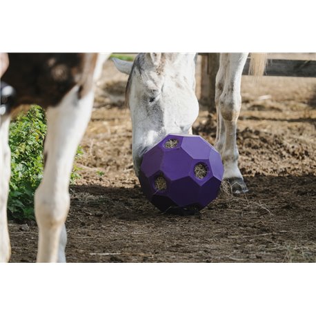 Balle anti-glouton HIPPOTONIC pour foin