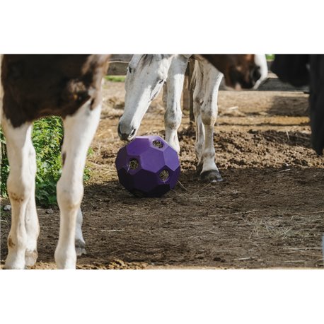 Balle anti-glouton HIPPOTONIC pour foin