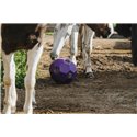 Balle anti-glouton HIPPOTONIC pour foin