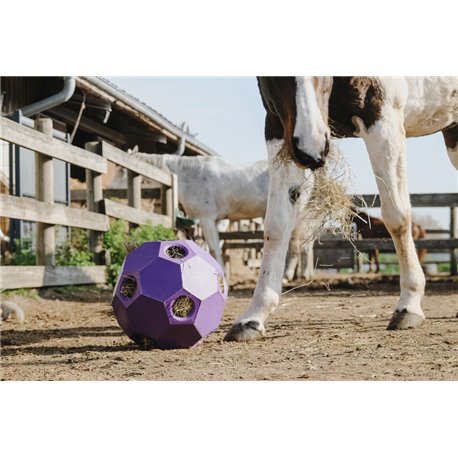 Balle anti-glouton HIPPOTONIC pour foin