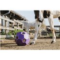 Balle anti-glouton HIPPOTONIC pour foin