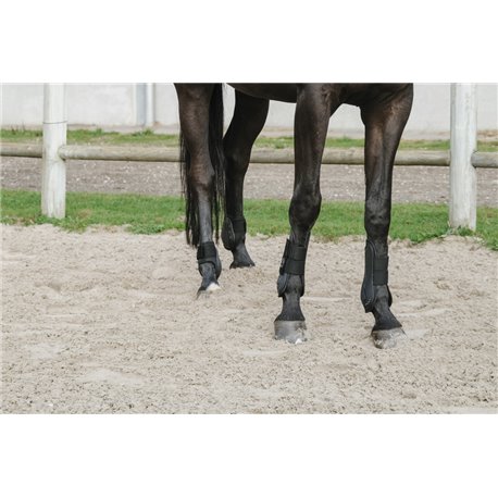 Guêtres et protège-boulets Je t'aime EQUITHÈME