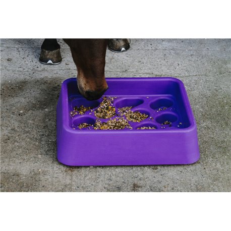 Mangeoire anti-glouton HIPPOTONIC