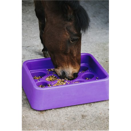 Mangeoire anti-glouton HIPPOTONIC