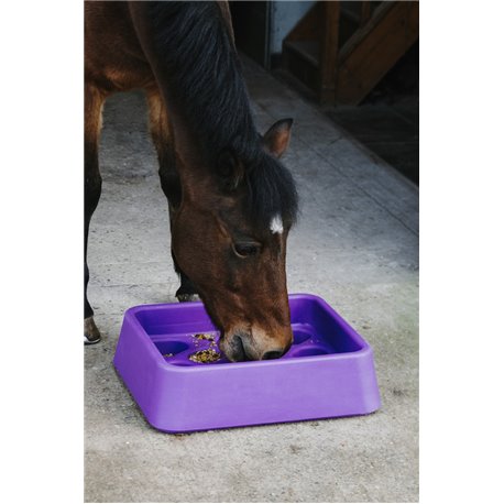 Mangeoire anti-glouton HIPPOTONIC