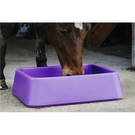 Mangeoire anti-glouton HIPPOTONIC