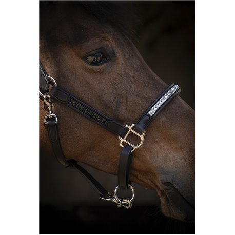 Licol PENELOPE "Harmonie"