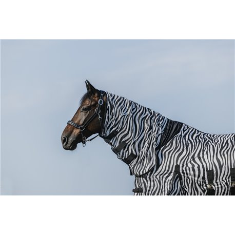 Chemise RIDING WORLD - Belly Mesh - Combo