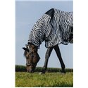 Chemise RIDING WORLD - Belly Mesh - Combo