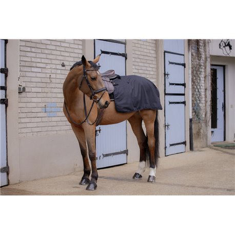 PADDOCK - Classic Rain - Quarter Nierendecke