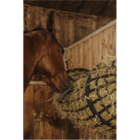 HIPPOTONIC - Tunnel - Heunetz