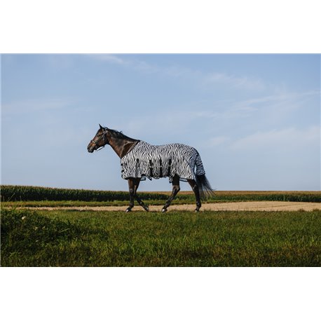 Chemise RIDING WORLD - Belly Mesh