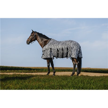 Chemise RIDING WORLD - Belly Mesh