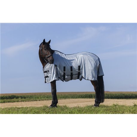 RIDING WORLD - Belly Mesh - Decke
