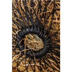 HIPPOTONIC - Hot temperature - Heunetz 2