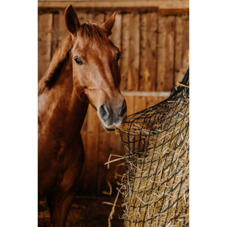 HIPPOTONIC - Rectangle - Heunetz