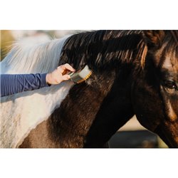 HIPPOTONIC - Vapeur - Striegel mit Stiel 2