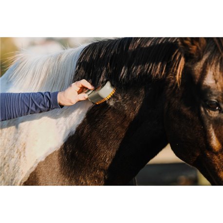 HIPPOTONIC - Vapeur - Striegel mit Stiel