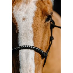 Licol ?thologique nylon NORTON - Diams 2