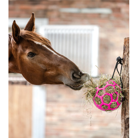 Boule à foin