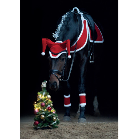 Tapis de selle Noël HKM