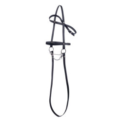 Hobby Horse 2