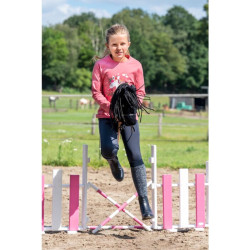 Hobby Horse 2