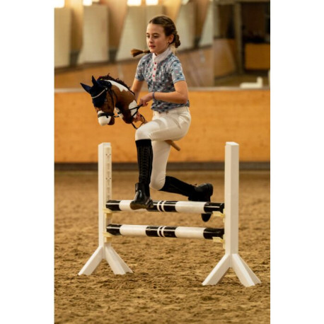 Hobby Horse