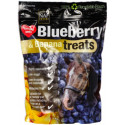 HIPPOTONIC "Pink'n Fruit" Pferdeleckerlis 600gr
