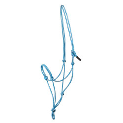 Halfter ETHOLOGISCHES 2