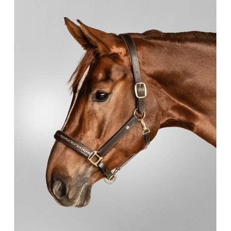 X-Line Lederhalfter Crystal