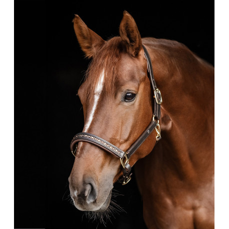 X-Line Lederhalfter Crystal