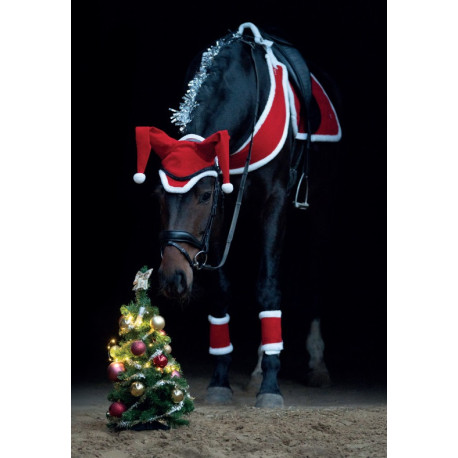 Weihnachtsohrenhaube HKM