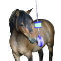 Likit Boredom Buster