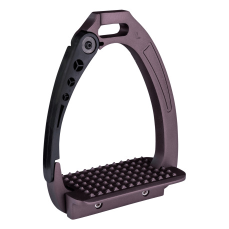 Sicherheitssteigbügel Pro