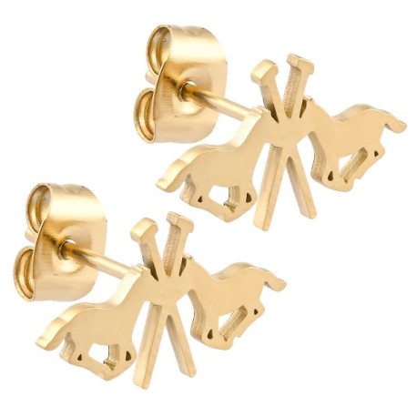 Boucles d'oreiile HV Polo