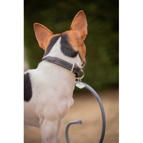 Collier pour chien PENELOPE "Olie"
