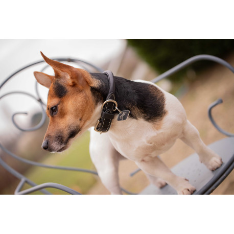 Collier pour chien PENELOPE "Olie"