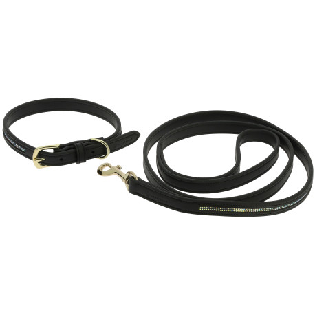 EQUITHÈME - Max - Hundehalsband und Leine