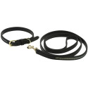 EQUITHÈME - Max - Hundehalsband und Leine