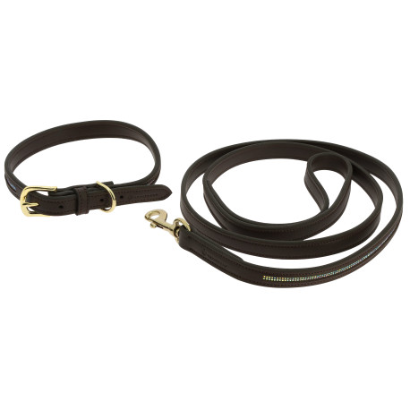 EQUITHÈME - Max - Hundehalsband und Leine