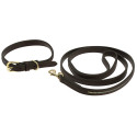 EQUITHÈME - Max - Hundehalsband und Leine