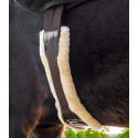 Waldhausen Ledersattelgurt mit ECO Wool