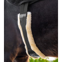 Sangle de selle en cuir Waldhausen avec ECO Wool