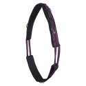 Longiergurt nylon