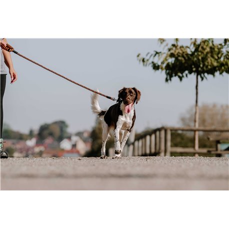 EQUITHÈME - Haspen - Hundeleine mit Griff